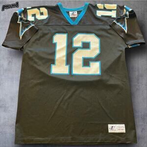 Vintage Carolina Panthers Jersey Mens Large NFL Football Kerry Collins Logo